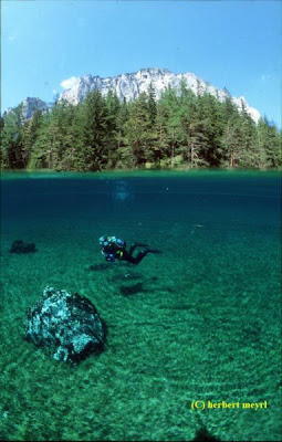 Beautiful Underwater Meadow