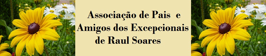 ASSOCIAÇÃO DE PAIS E AMIGOS DOS EXCEPCIONAIS DE RAUL SOARES