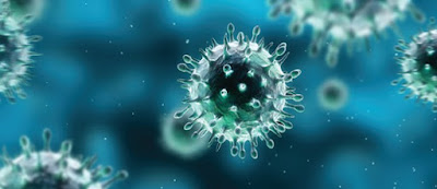 Sistema inmune y respuesta inmunitaria