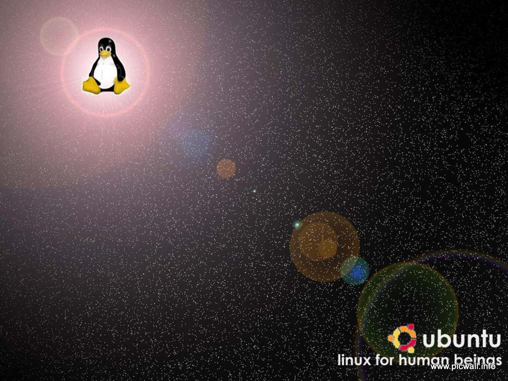 new Ubuntu wallpapers, you must love it!!!