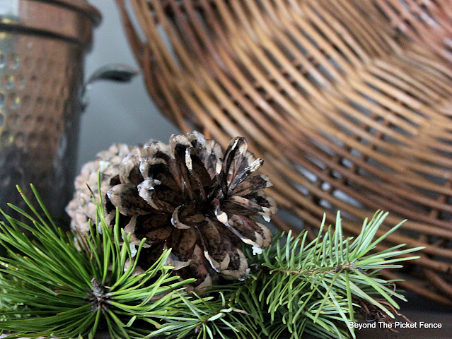 Natural Pinecones and Pine