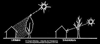 Sombra en el jardín, estudios de asoleo, estudiar paisajismo, estudiar arquitectura