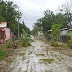 También en Esperanza siembra matas en calles