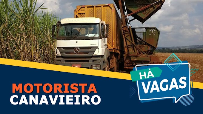 Clealco abre vagas para Motorista Canavieiro 
