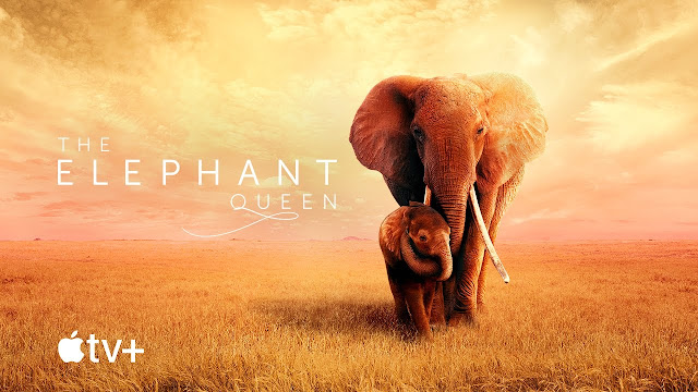 مشاهدة فيلم The Elephant Queen 2019 مترجم اون لاين