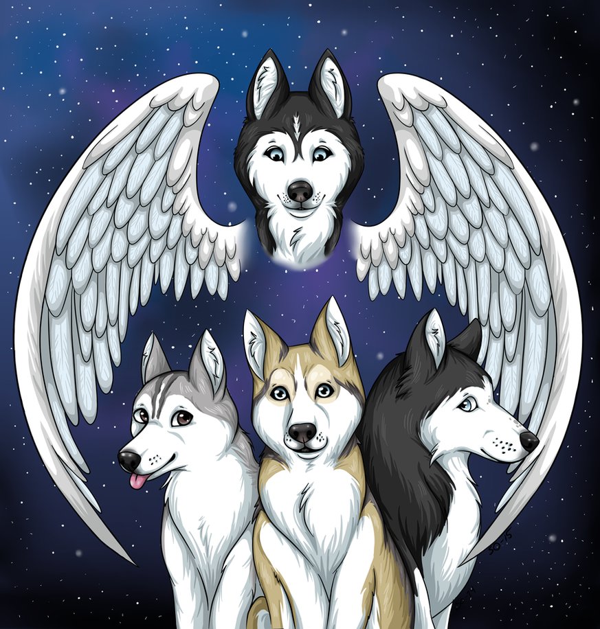 Gone 2 the snow dogs