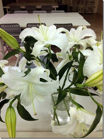whitelily