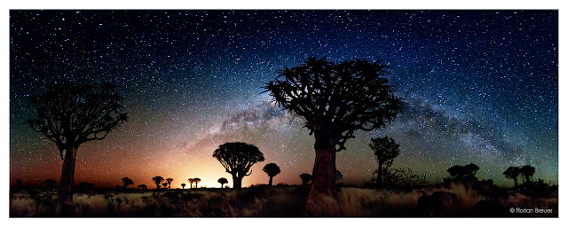 Image result for namibian night skies