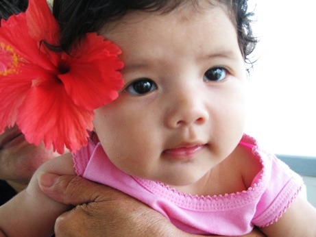 Baby Photo Girl on Cute Baby Girl With China Rose Model Photo Jpg