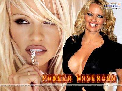 Pamela Anderson Hot Photo