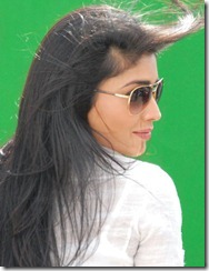 Nuvva Nena Shriya Hot Pics