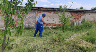 Halil with his scythe in the orchard