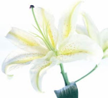 utami: jenis-jenis bunga lily di dunia