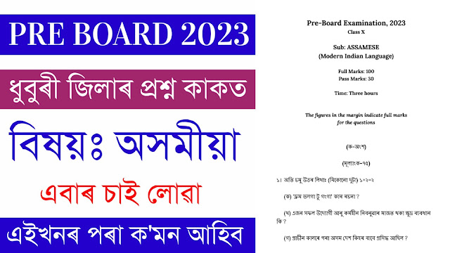Dhubri District Pre Board Question Paper 2023