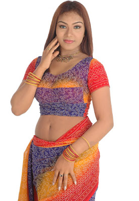 Risha in saree photo album