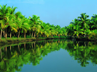 Backwaters of Kerala, most famous in Kerala