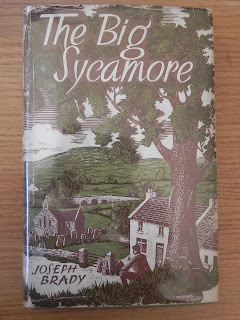 The Big Sycamore, first edition, Joseph Brady, Fergus O'Ryan, www.ruths-world.com