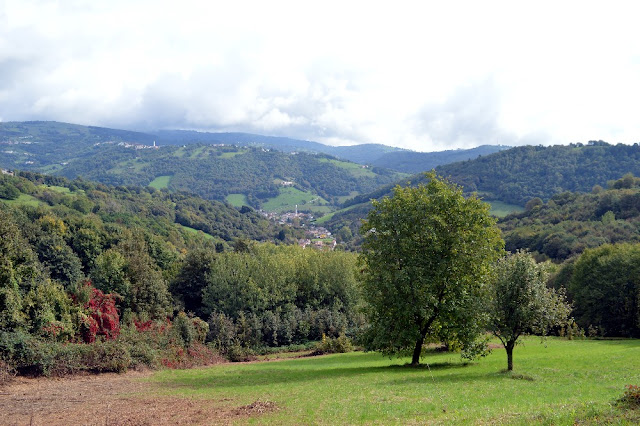 guesthouse in contra lusiana