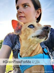 Previously broken and icky, foster dog Lele is on her way to wellness, with lots of love, antibiotics and Wellness CORE food. Read part 2 of her story! #granfreeforme