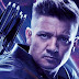 Jeremy Renner começa a treinar para a série "Gavião Arqueiro"