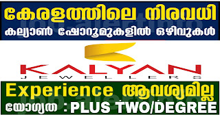 കല്യാൺ ജ്വല്ലേഴ്സിൽ സ്ത്രീകൾക്കും പുരുഷന്മാർക്കും നിരവധി ജോലി അവസരങ്ങൾ| Kalyan Jewellers latest job recruitment 2024