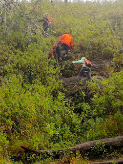 Tambora hike