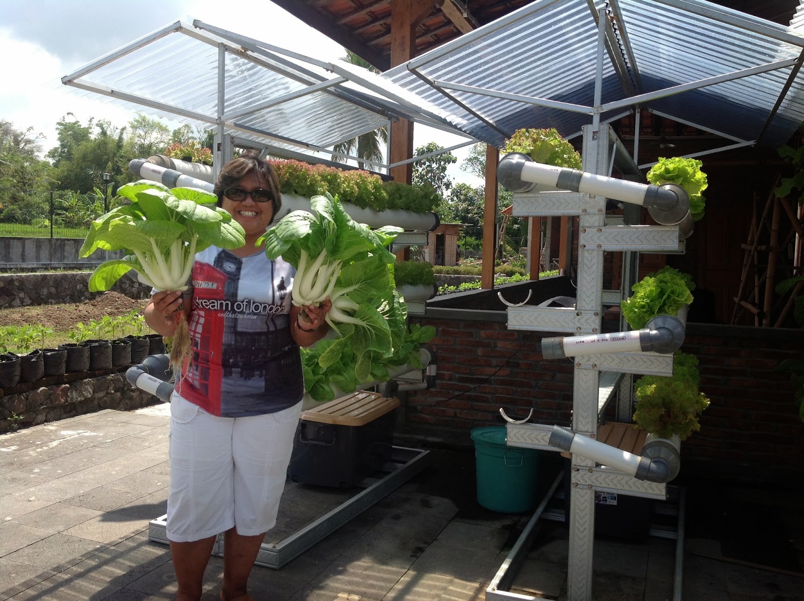 Rumah Hydroponic: Selamat Datang di Rumah Hydroponic, Visi ...