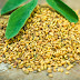 [Mind & Body] Fenugreek Seeds: A Breast Enlarger for Women, A Natural Viagra for Men