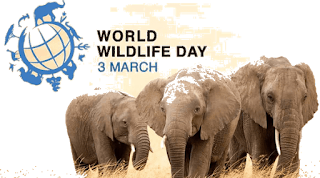 World Wildlife Day Observed on 3rd March