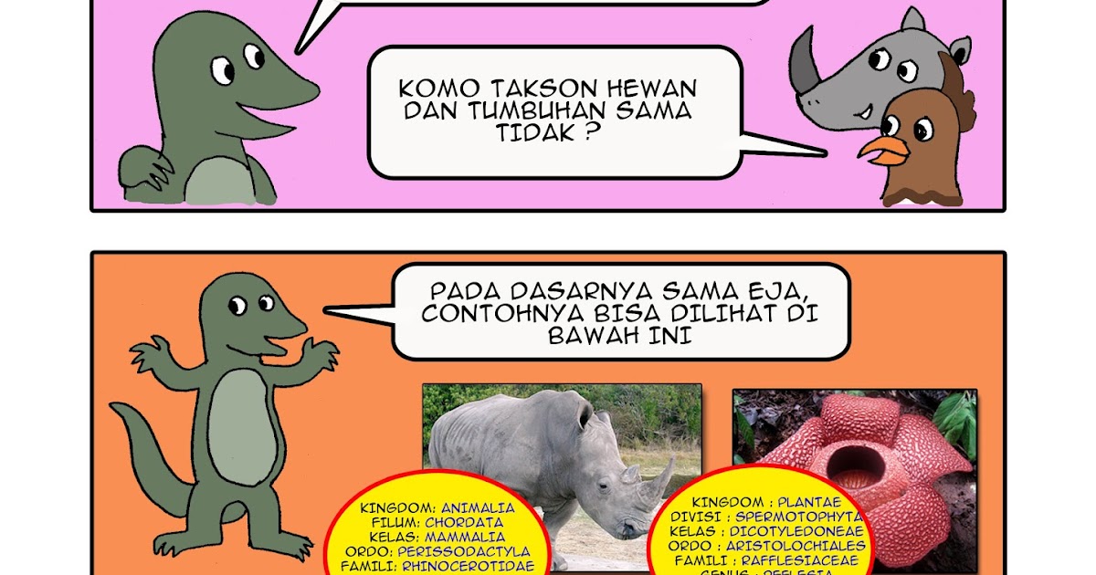  Gambar Komik Kartun  Binatang Komicbox