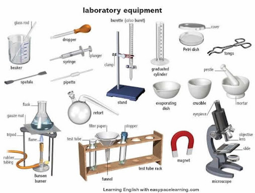 Laboratory Supplies & Equipment for the Home Scientist