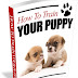 How To Train Your Puppy!