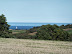 Coast from New Lane