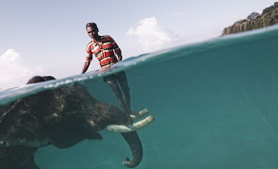 Discovery's International Photography Contest 2009