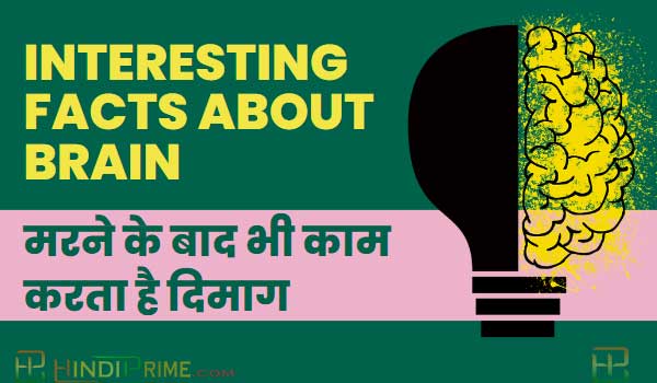 interesting brain facts in hindi