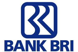 Program Resident Auditor Bank BRI November 2012 untuk Tingkat S1 & S2