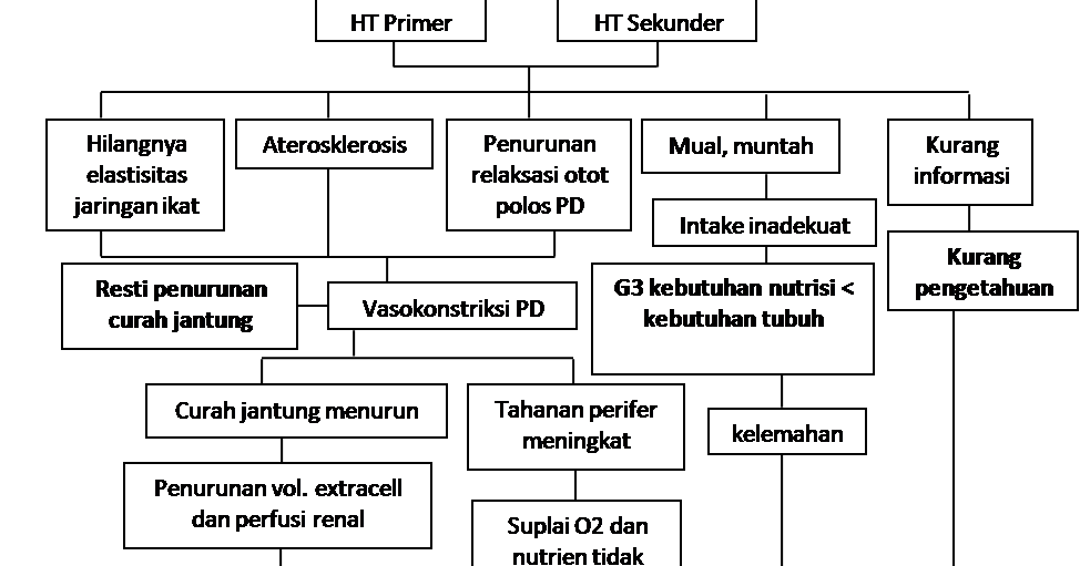 BLOG SUKA-SUKA: PATHWAY HIPERTENSI