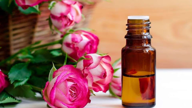 11 Manfaat Yang Dihasilkan Bunga Mawar Baik Untuk Kesehatan