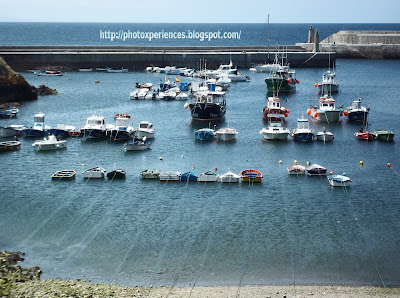 Tapia de Casariego fishing port - Puerto pesquero de Tapia de Casariego