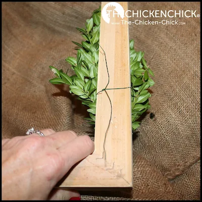  Sourcing the boxwood cuttings were ever the challenge as well as I guess I never looked difficult e Square Boxwood Wreath 