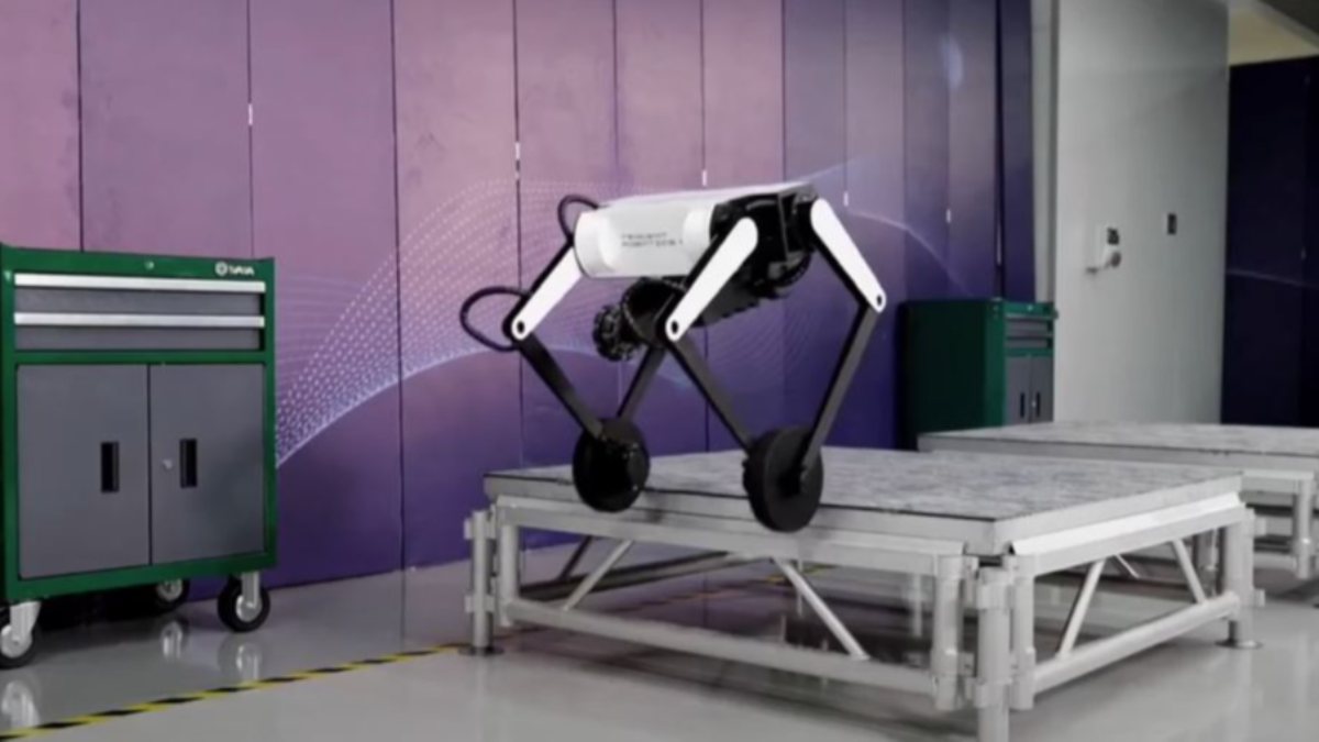 Ters Takla Atabilen Üç Bacaklı Robot Köpek Ollie!
