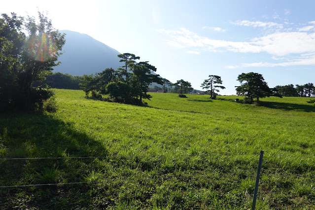 鳥取県西伯郡伯耆町小林　だいせん牧場　大山の眺望