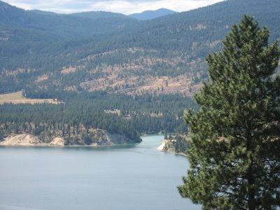 View of Bangs Mountain above trees, looking west across river to cove at end of Chris's creek