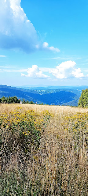 Čertova hora widok na Harrachov i w kierunku Gór Izerskich.