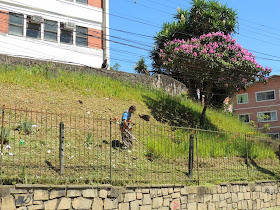 Jardim do Colégio Presidente Bernardes, em São Pedro, passa por manutenção