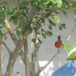 View album