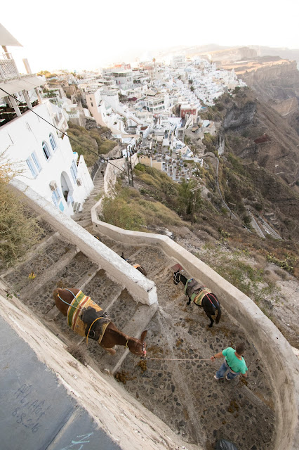 Asini a Fira-Santorini