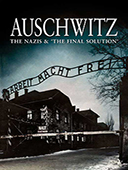 http://henkizzz.blogspot.com/2015/11/auschwitz-nazis-and-final-solution-2005.html