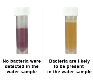 Use WaterSafe Water Test Kit to Check Your Water Quality ...