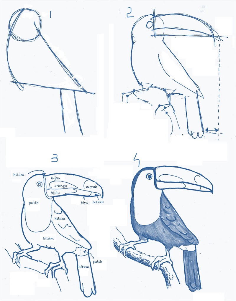 19+ Cara Menggambar Burung